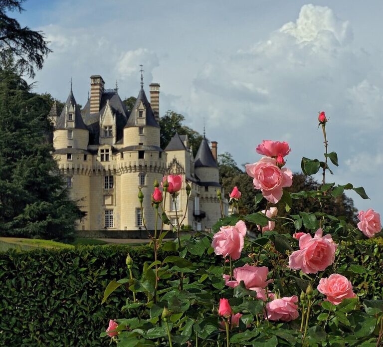 The Best Castles in the Loire Valley