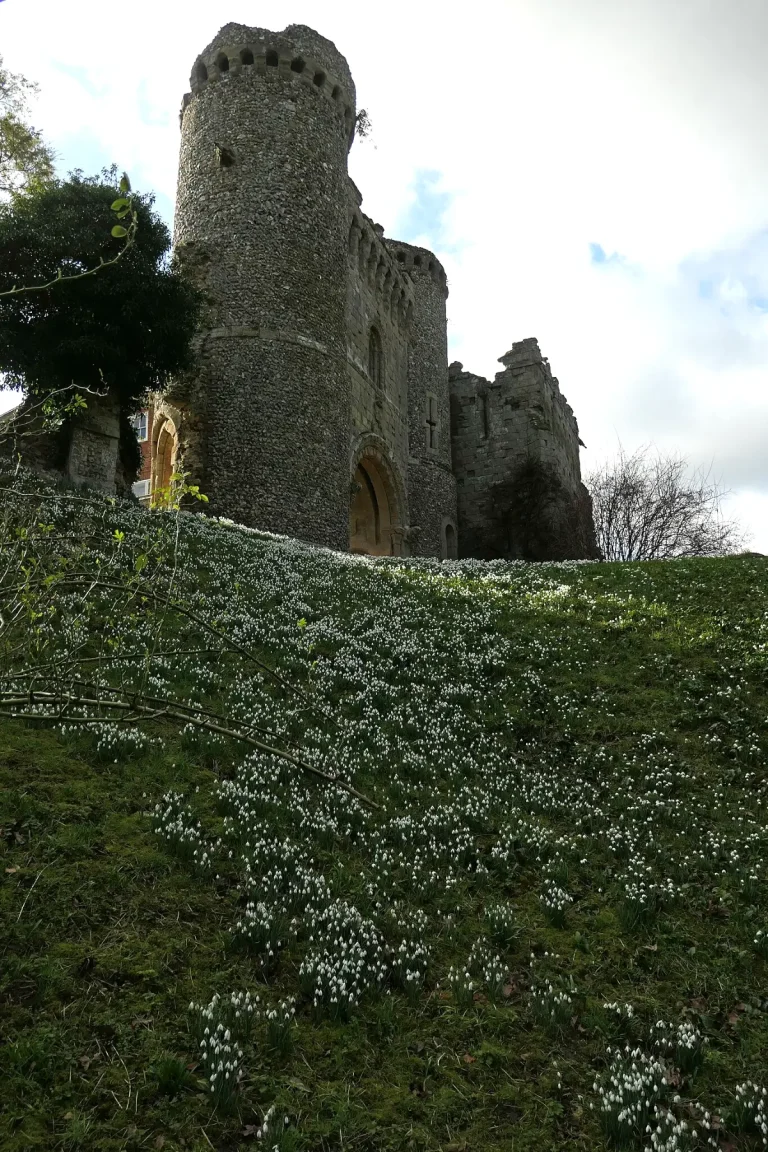 20 English Castle Gardens Open for Snowdrop Season in 2026